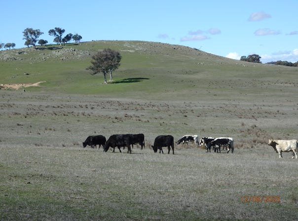 45 MOORBYS ROAD, Bowning, NSW 2582