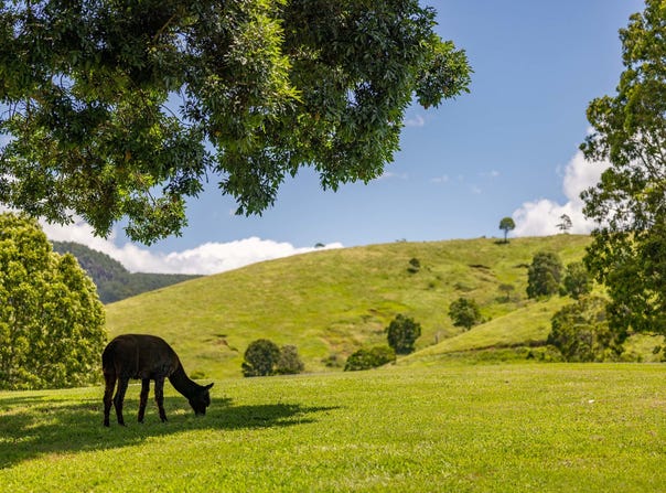 Mount Delaney, Qld 4514