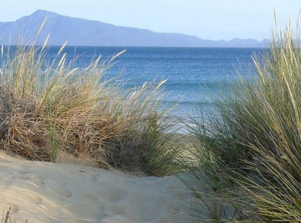 736 Dolphin Sands Road, Dolphin Sands, Tas 7190