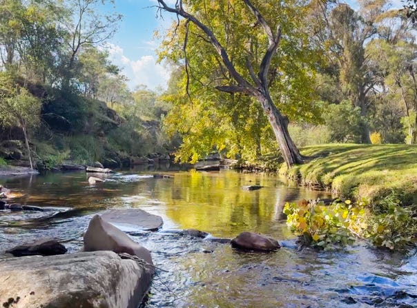 2121 Mt Buller Road, Merrijig, Vic 3723