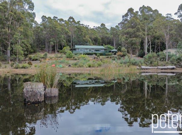 100 Loriwood Drive, Turners Marsh, Tas 7267