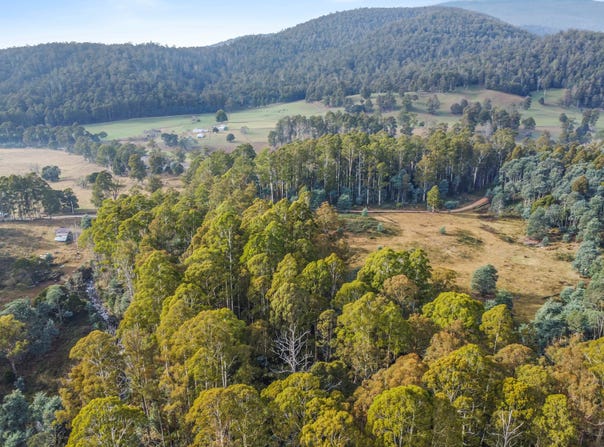 Lot 1 Echo Valley Road, Liena, Tas 7304
