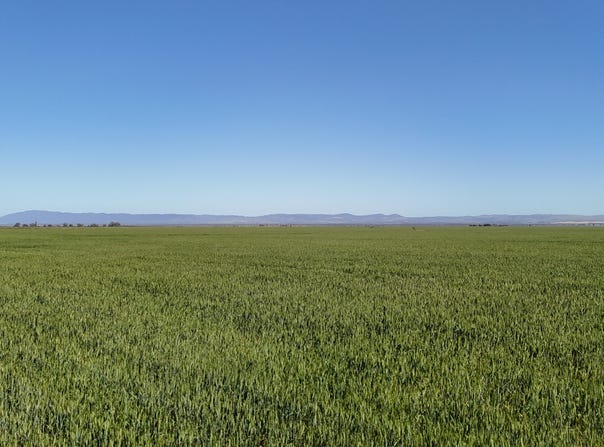 'Forbes's' Wilmington Road, Hammond, SA 5431