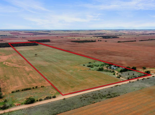 538 Stock Route Road, Robertstown, SA 5381