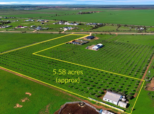 104 Schutt Road, Dublin, SA 5501