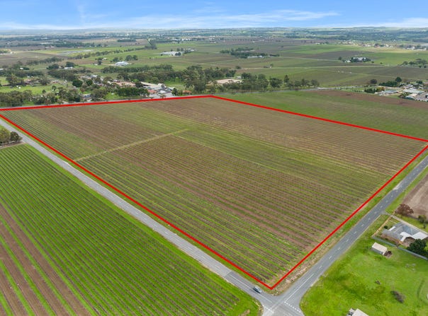 Lot 351 Angaston Road, Nuriootpa, SA 5355