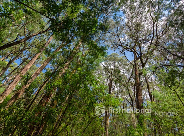 2780 Gembrook-Launching Place Road, Gembrook, Vic 3783