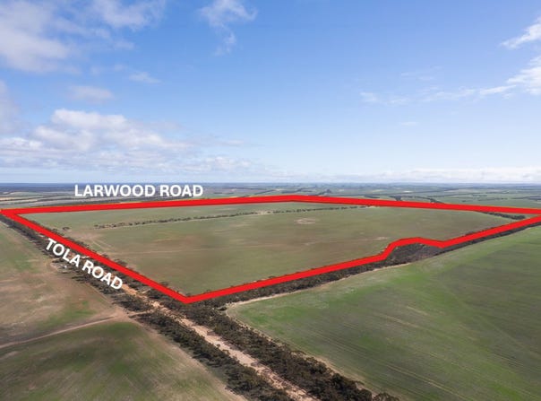 2 Larwood Road, Pinkawillinie, SA 5641