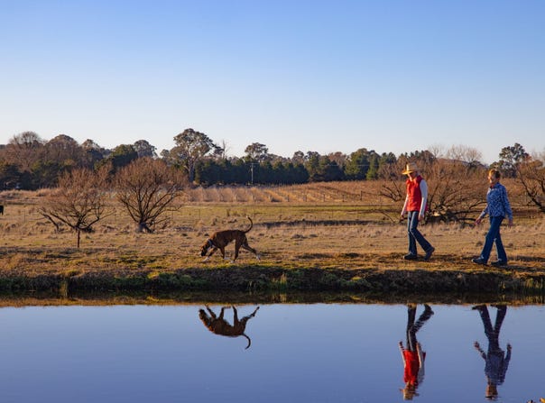 'Bluebell Park' 15 Bluebell Lane, Murrumbateman, NSW 2582