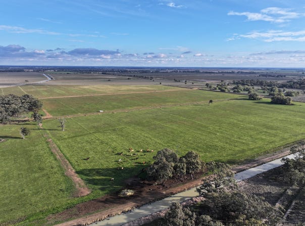 Millears Road, Deniliquin, NSW 2710