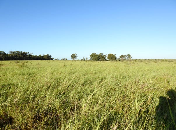 8041 Kilcummin-Diamond Downs Road, Pasha, Qld 4721