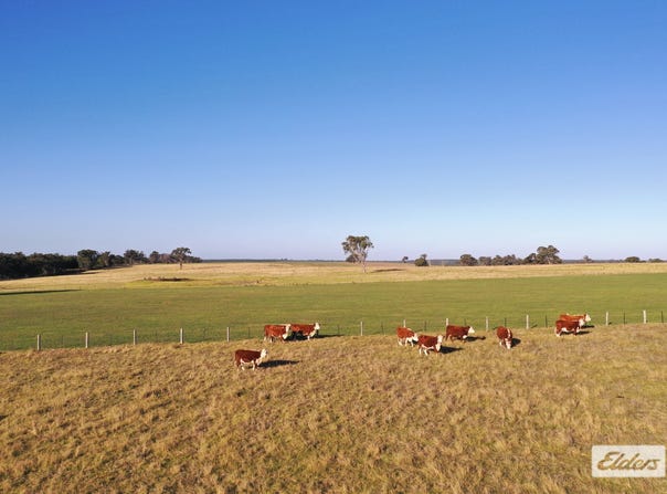 322 Stockdale - Fernbank Road, Stockdale, Vic 3862