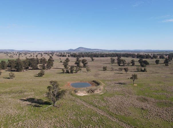 Wirrinya Road, Forbes, NSW 2871