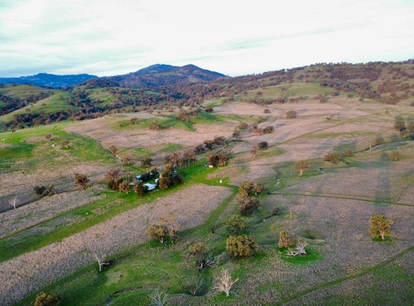 "AVOCA" Presses Road, Willow Tree, NSW 2339