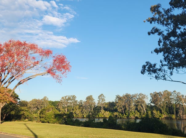 17 Esplanade, Yeronga, Qld 4104