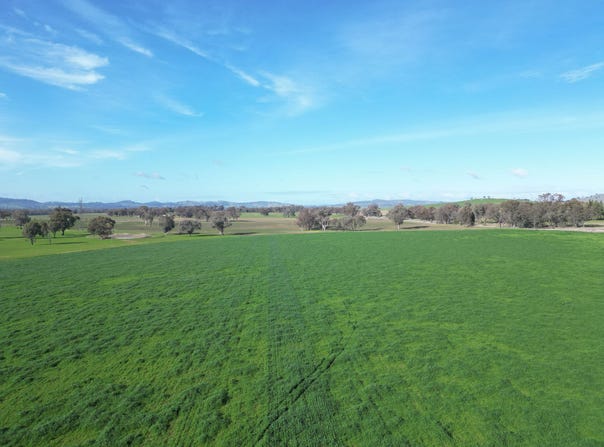 'Willowbank' Urana Road, Jindera, NSW 2642