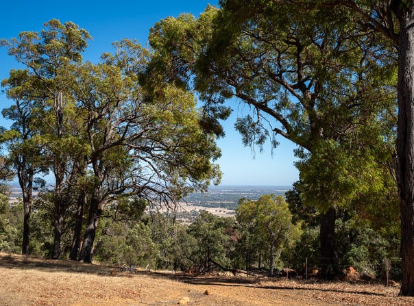 North Dandalup, WA 6207