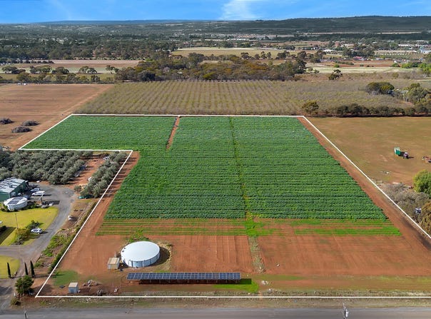 Lot 77, Wingate Road, Hillier, SA 5116