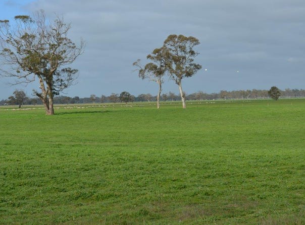 261 Joys Road, Binnum, SA 5262