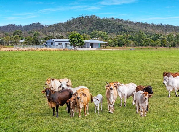 1028 Bilwon Road, Biboohra, Qld 4880