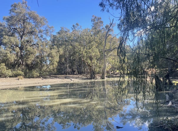 Billabong Estate, Conargo, NSW 2710