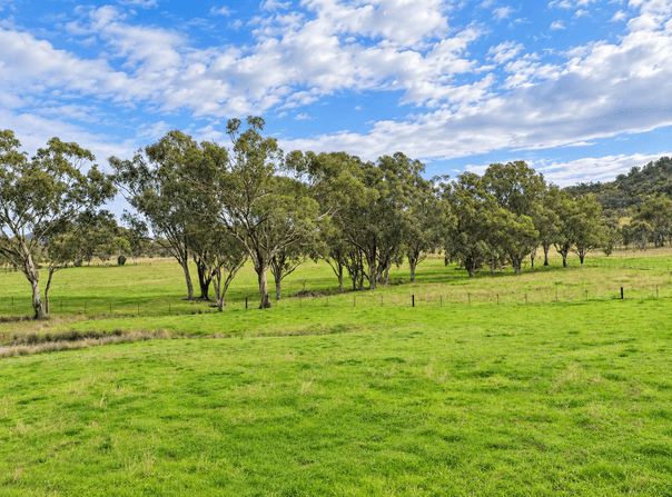 88 Mount Cobla Road, Currabubula, NSW 2342
