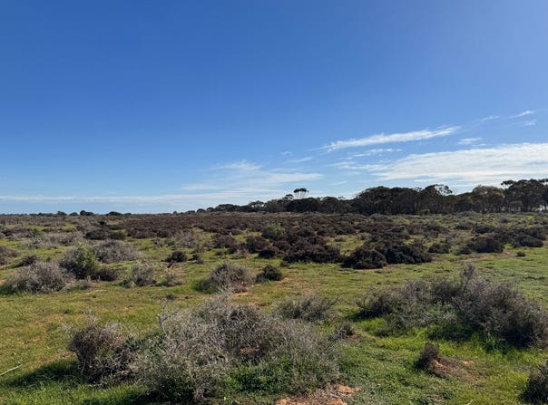 387, North Parham Road, Parham, SA 5501