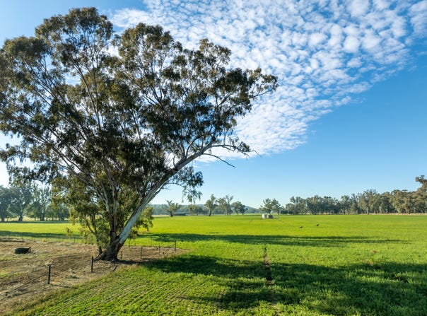 2594 Bedgerabong Road, Forbes, NSW 2871