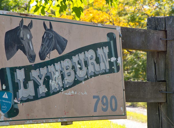 790 Mongogarie Road, Mongogarie, NSW 2470