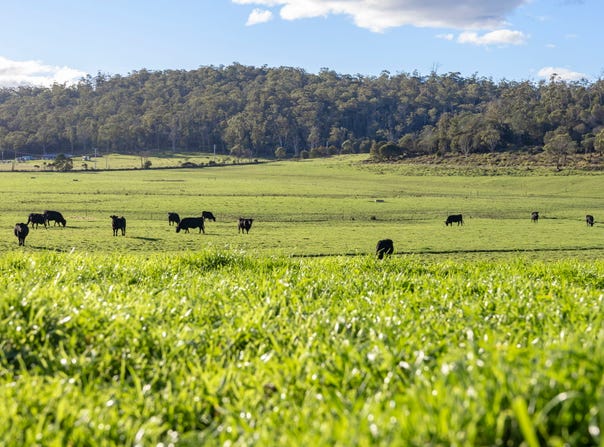 290 Batman Highway, Sidmouth, Tas 7270