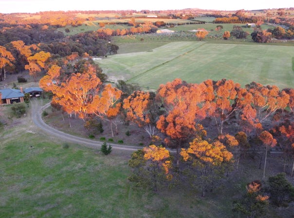972 Ingliston Road, Ingliston, Vic 3342