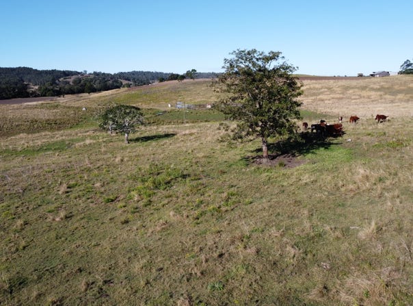 131 Leeses Road, Doubtful Creek, NSW 2470