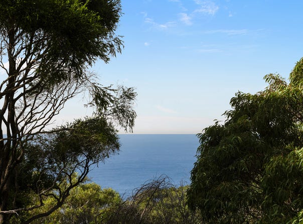 121 Plateau Road, Bilgola Plateau, NSW 2107