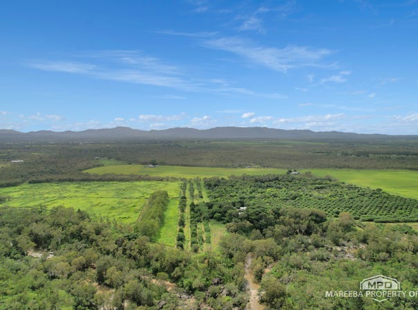 346 Roiko Road, Mareeba, Qld 4880