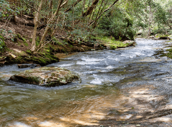 194 Bendeela Road, Kangaroo Valley, NSW 2577