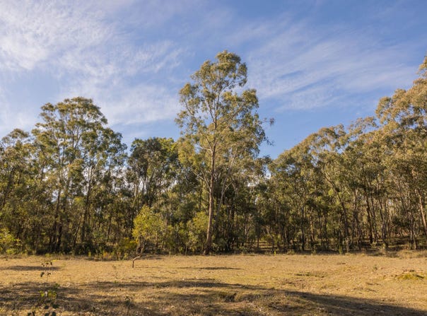 318 White Cedars Road, Mudgee, NSW 2850