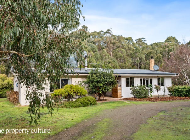 91 Cygnet Coast Road, Lymington, Tas 7109