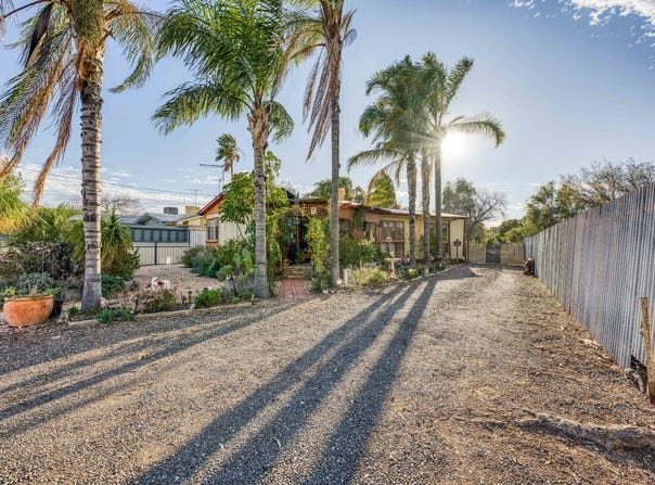 779 Karadoc Avenue, Irymple, Vic 3498