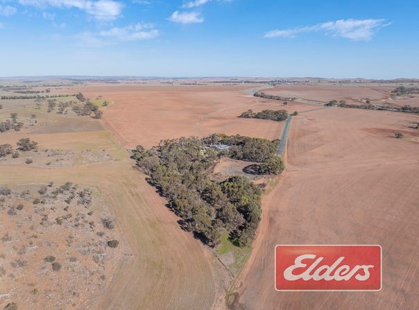 58 Oaklands Road, Dutton, SA 5356