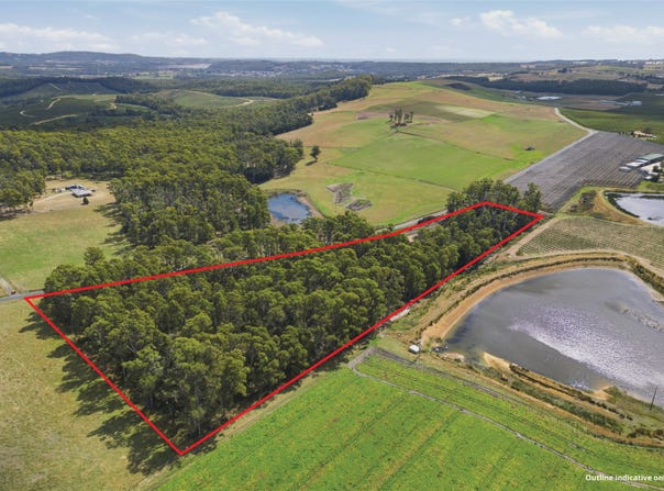 - Native Plains Road, Sassafras, Tas 7307