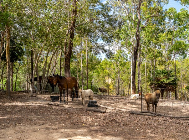 92 Grievson Road, Koah, Qld 4881