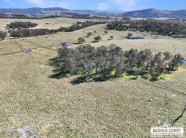 Lot 25 Scrub Road, Tenterfield, NSW 2372