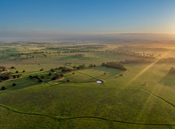 485 One Tree Hill Lane, Maryvale, NSW 2820