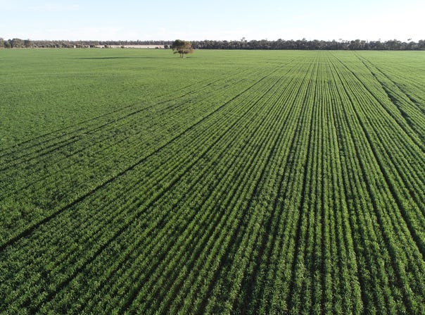 "Arrowfield" 648 Spinks Road, Goondiwindi, Qld 4390