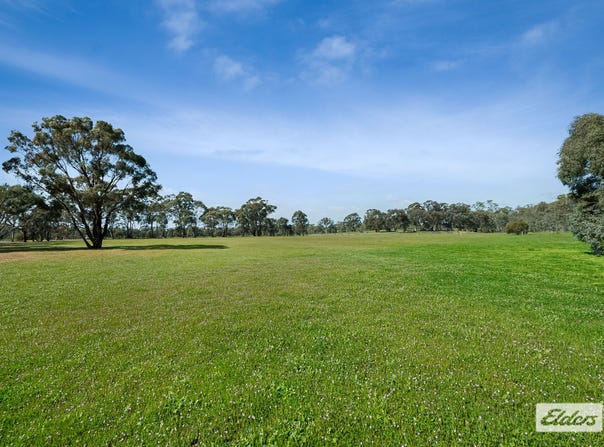 Cnr Hodges Lane & Potter Lane, Longlea, Vic 3551