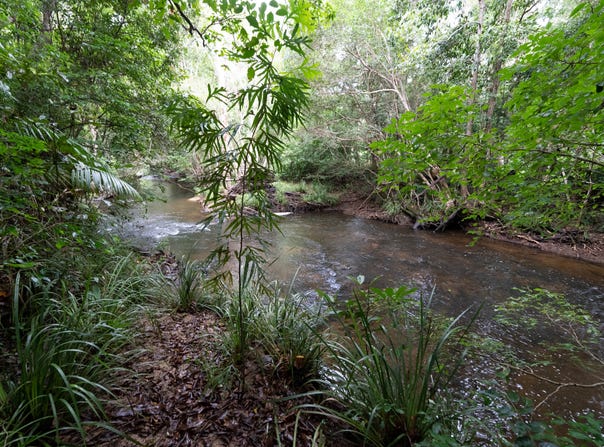 1 Copland Road, Koah, Qld 4881