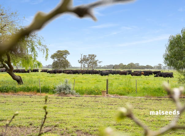 Mingbool Road, Mingbool, SA 5291
