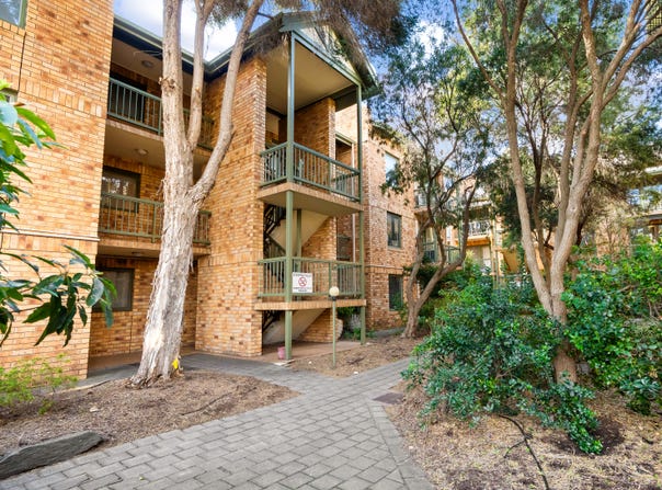 13/22 Cambridge Terrace, North Adelaide, SA 5006