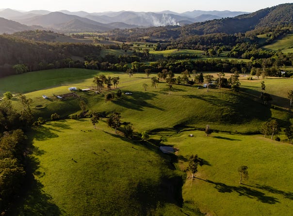 226 Turnback Road, Wherrol Flat, NSW 2429
