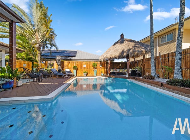 6 Whitewood Court, Mountain Creek, Qld 4557